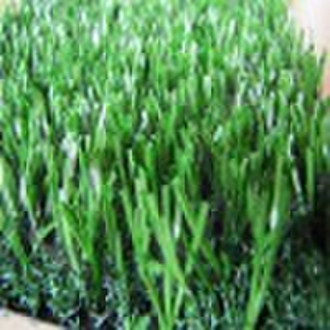 Landscaping  turf