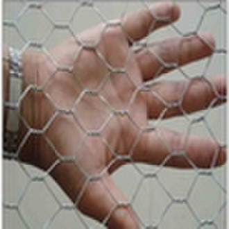 hexagonal wire mesh