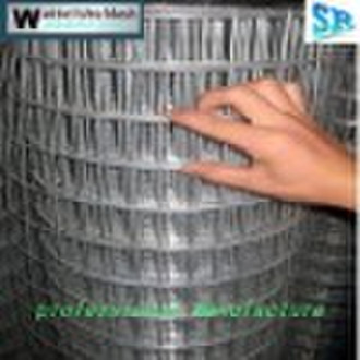 Hot Sell Galvanized Welded Wire Mesh