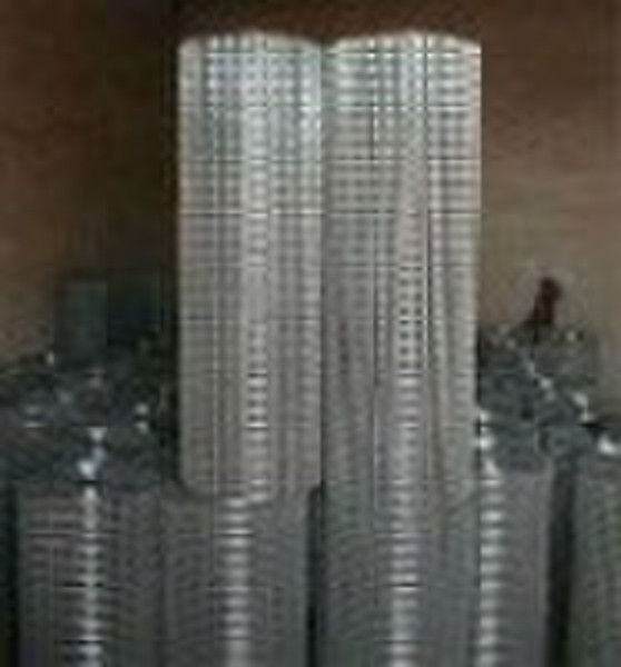 galvanized wire mesh(anping 10years factory)