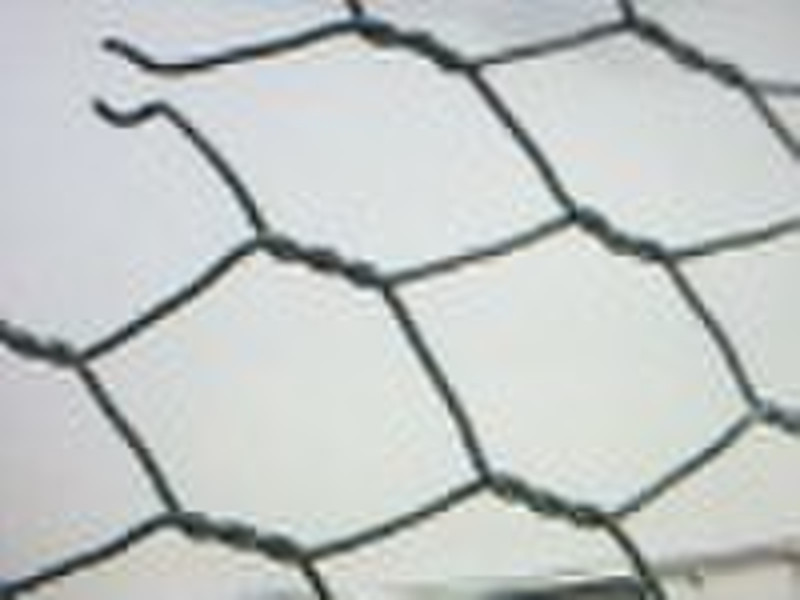 Chicken  Wire Mesh