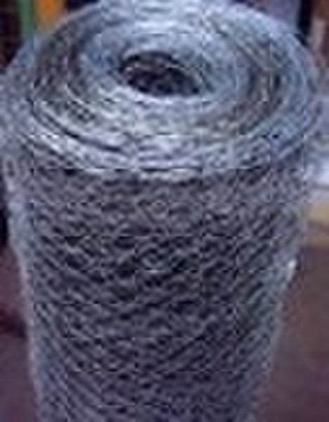 hexagonal wire mesh /galvanized hexagonal wire mes