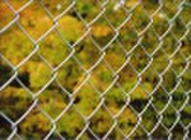 Chain Link Fence