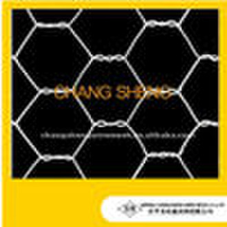 Chicken Wire mesh /Hexagonal wire mesh -01