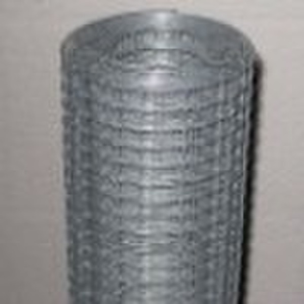 Welded Wire Mesh /stainless steel welded wire mesh