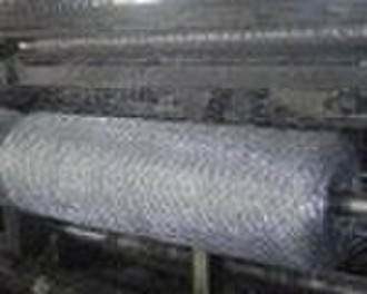 Hexagonal wire mesh