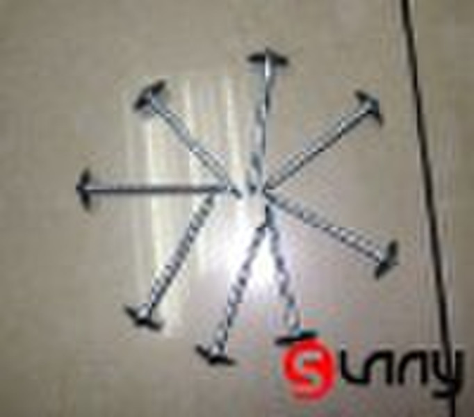 Roofing Nails