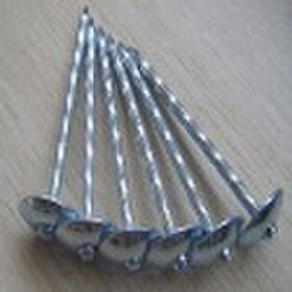 Hot galvanized umbrella head roofing nail manufact