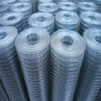 Welded Wire Mesh (Factory)