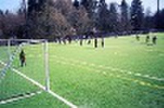 Kunstrasen Fußball Turf