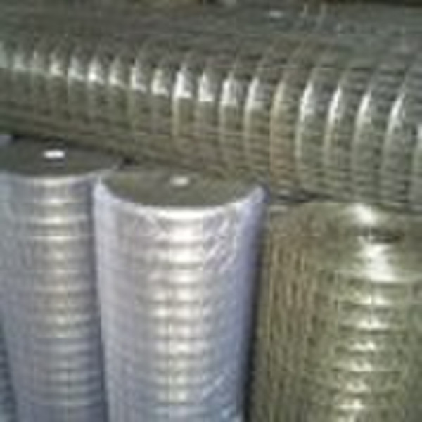 Galvanized welded wire netting