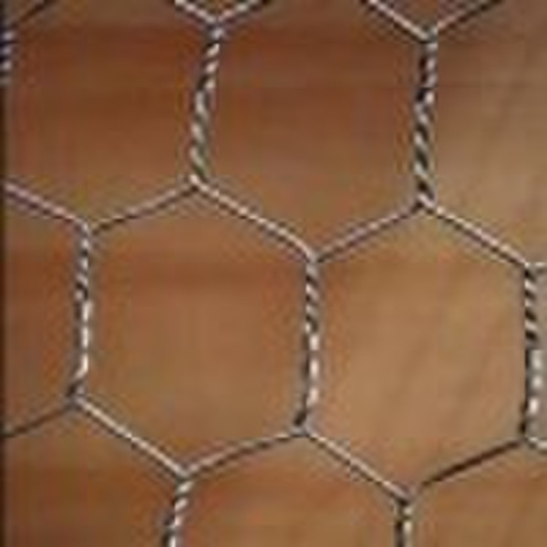Galvanized Chicken Wire Mesh