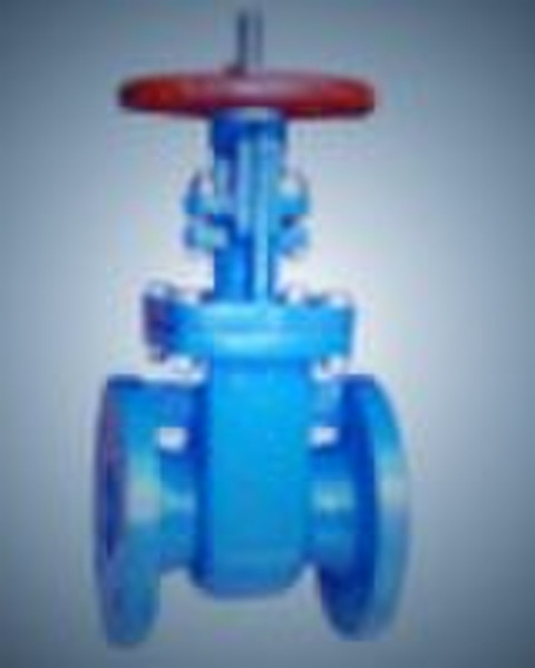 Rising Stem Gate Valve