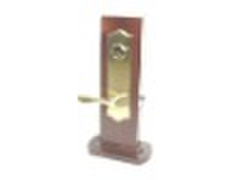 hot sale exquisite brass door handle with plate