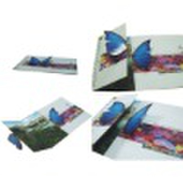 Colorful Catalogue Printing