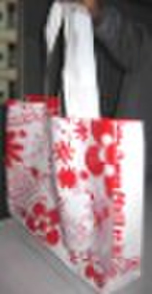 LDPE bag (lldpe bag, PE bag)