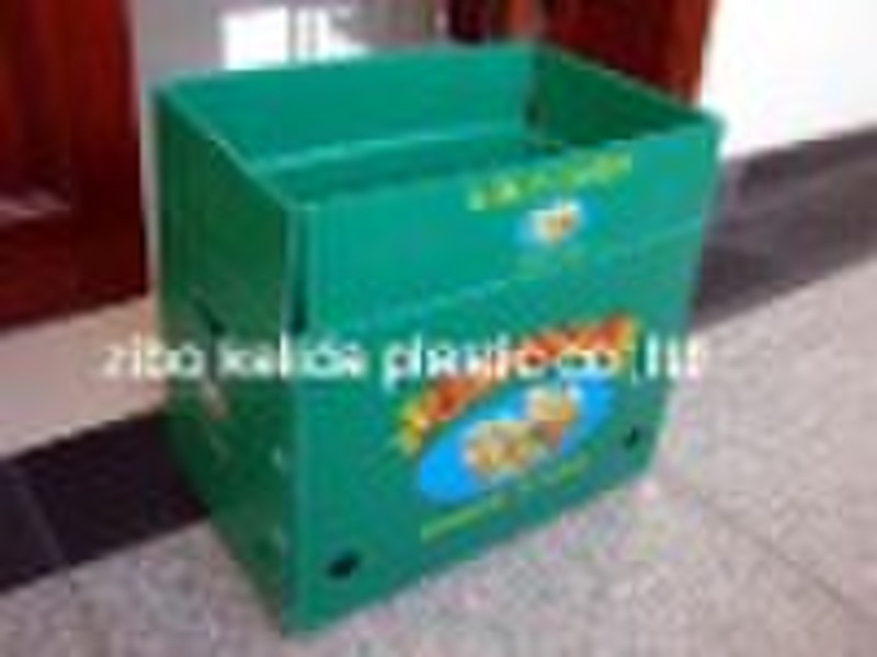 plastic corrugated box