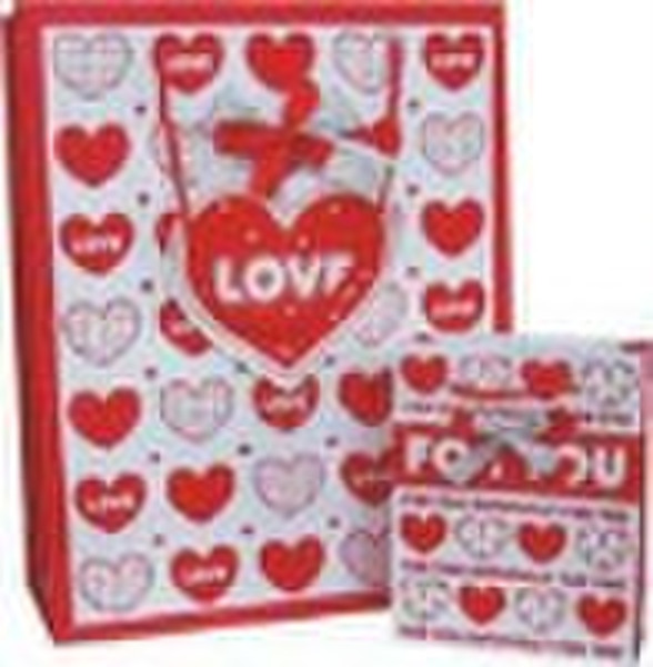 shopping paper bag/gift bag