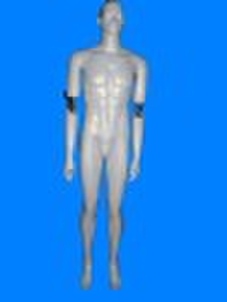 fashion  male mannequin  display mannequin(activit