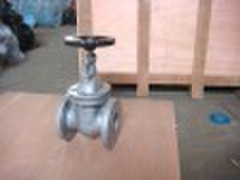 stainless steel Gate Valve