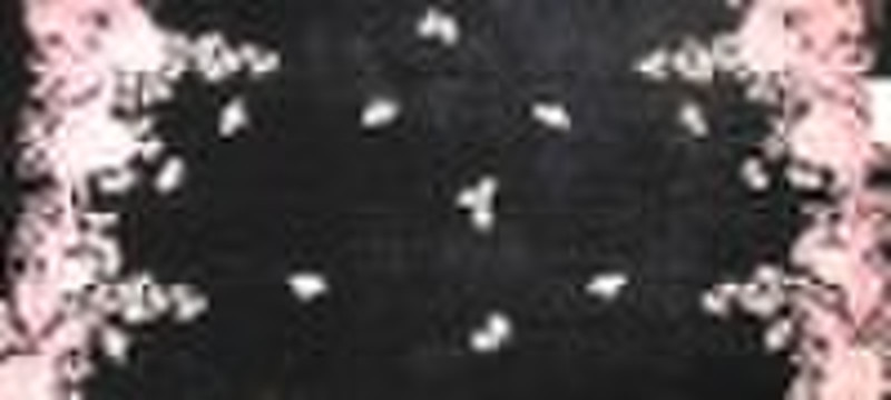 silk velvet burnout with backside discharge print