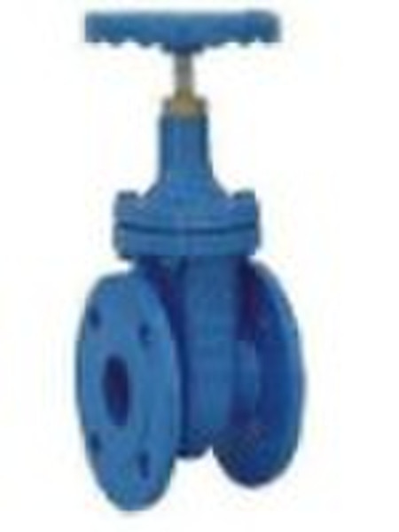 gate valve