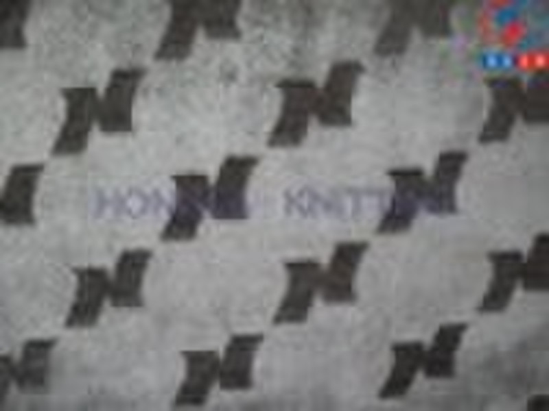 Brushing Polyester Fabric / Tricot fabric / 100% P