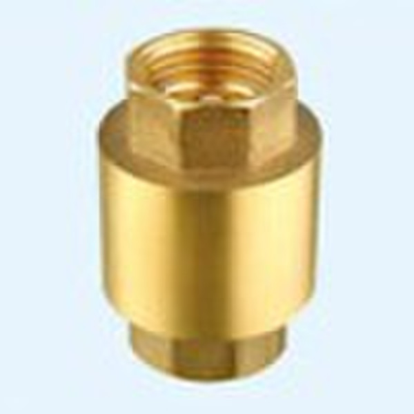 spring check valve