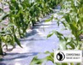 Biodegradable clear mulch film