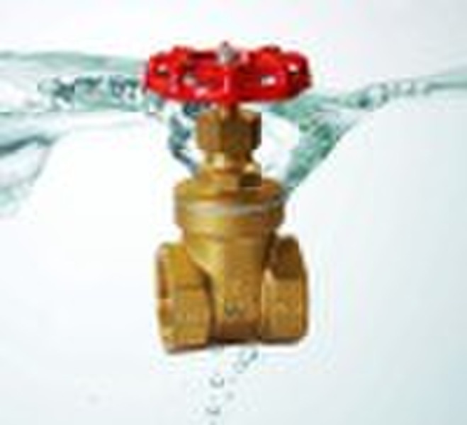 ZZ209 Brass Sluice Valve Gate Valve