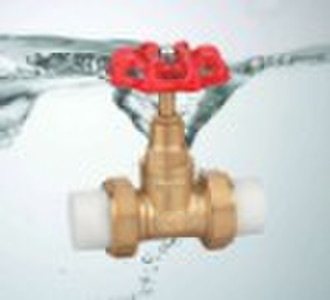 ZZ304 Brass Globe Valve With PPR