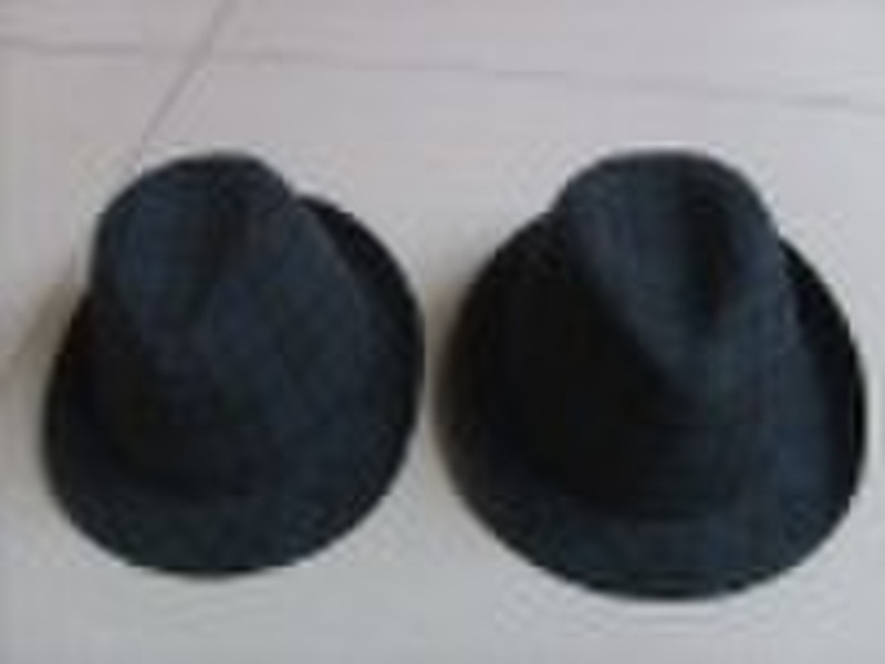 fedora hat