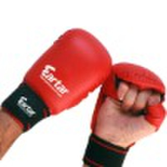 taekwondo glove