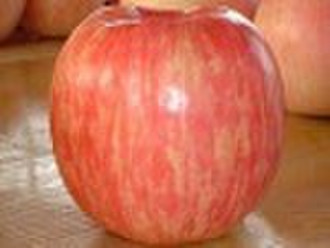 新鲜的富士赛的苹果