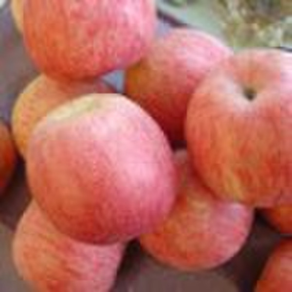 chinese fuji apple