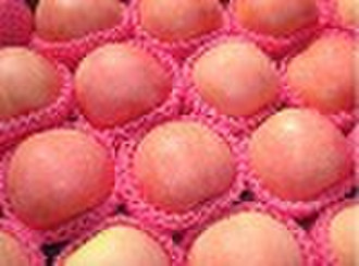 fuji apples