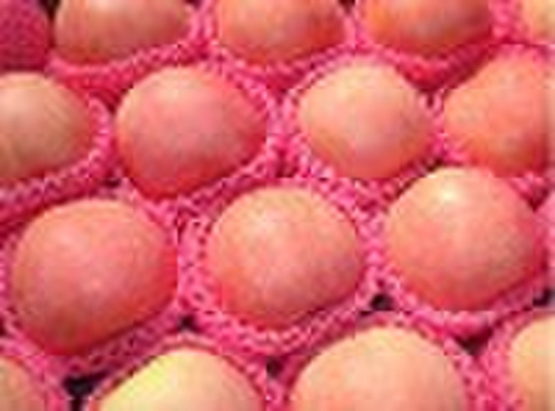 fuji apples