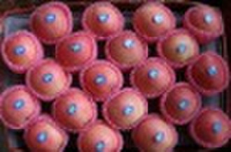 Chinese Fuji Apple
