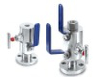 Double block and bleed valve