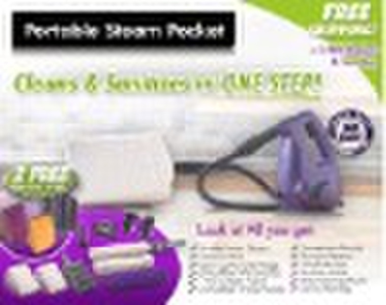 steam cleaner