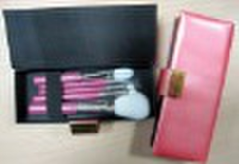 XLM110501 gift cosmetic brush kit