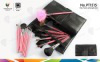 Gesichts-Make-up Pinsel Kits eingestellt PT0815