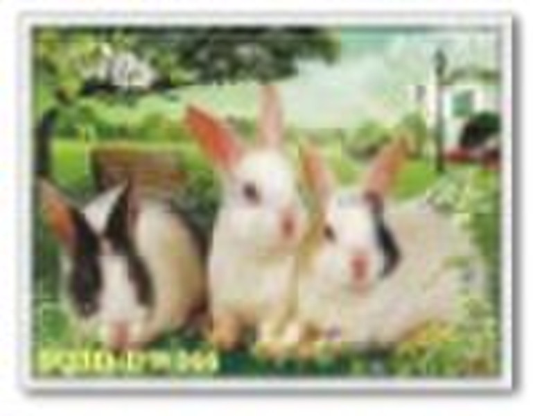 DW066, 3D Lenticular-Kaninchen Bild, Dekorativ Pai