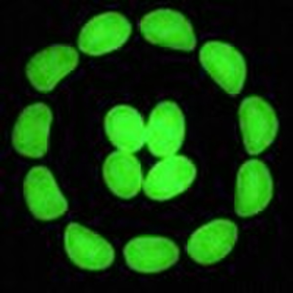 glow in the dark pebble stone