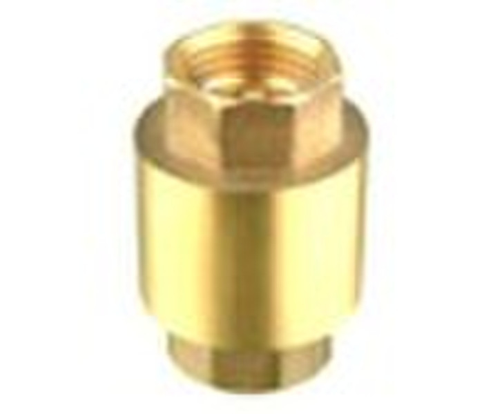 Check Valve