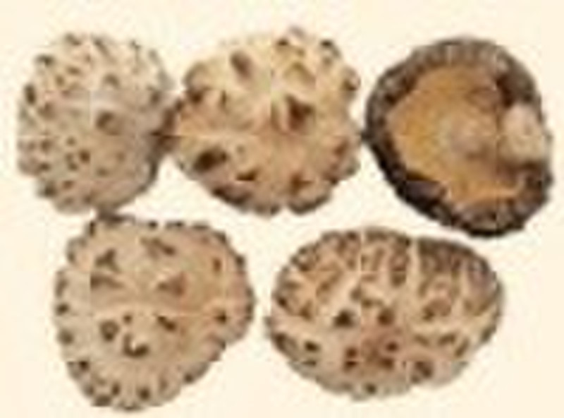 Dried White Flower Shiitake