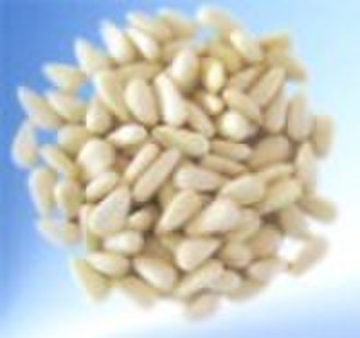 Pine Nut