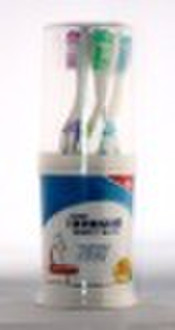 6pc Toothbrush With Holder