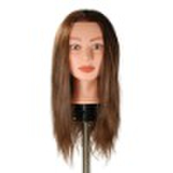 Mannequin Head With Hair