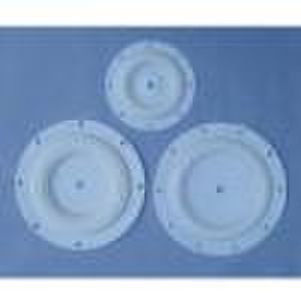 PTFE Diaphragm